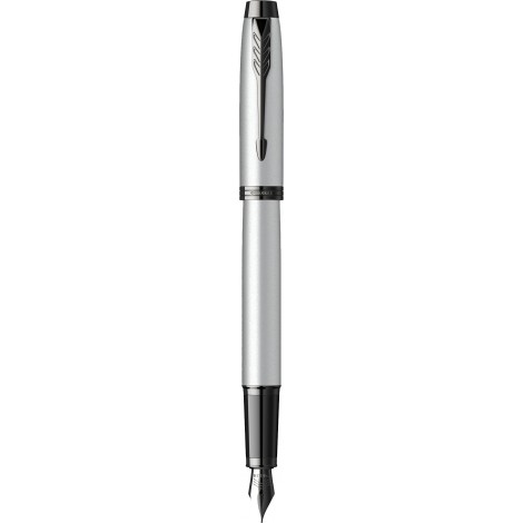 Ручка перьевая Parker IM Achromatic Grey BT FP F 22 811