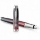 Ручка перьевая Parker IM Last Frontier Portal CT FP F 25 311