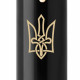 Ручка шариковая Parker IM Black GT BP Трезубец стилизованный 22032_T062y