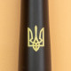 Ручка кулькова Parker URBAN UKRAINE Muted Black GT BP Тризуб 30035_T001y
