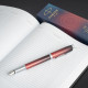 Ручка перьевая Parker IM Last Frontier Portal CT FP F 25 311