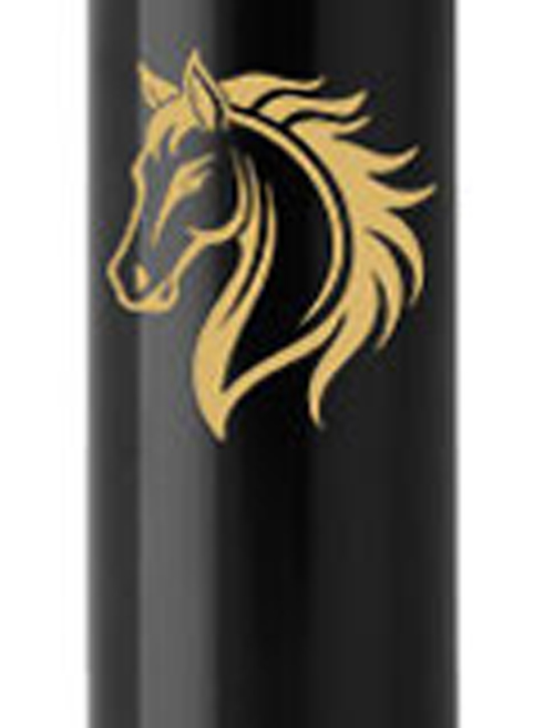 Ручка шариковая Parker IM ZODIAC Black GT BP Огненный конь 22032_Z501y