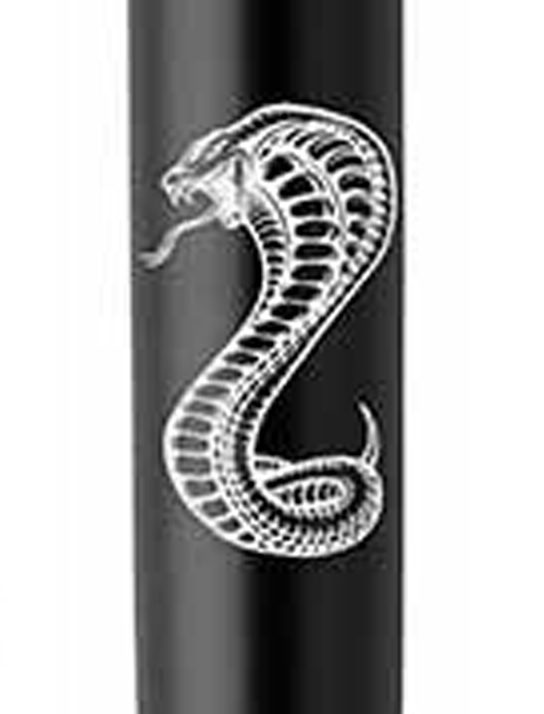 Ручка кулькова Parker JOTTER ZODIAC Bond Street Black CT BP Зелена Змія 16232_Z401w